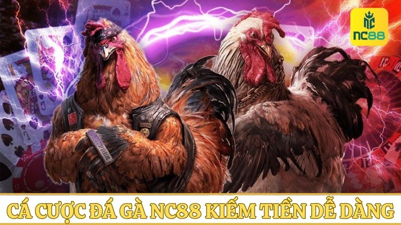 Chơi đá gà NC88 kiếm thưởng mỏi tay mỗi ngày cùng chuyên gia