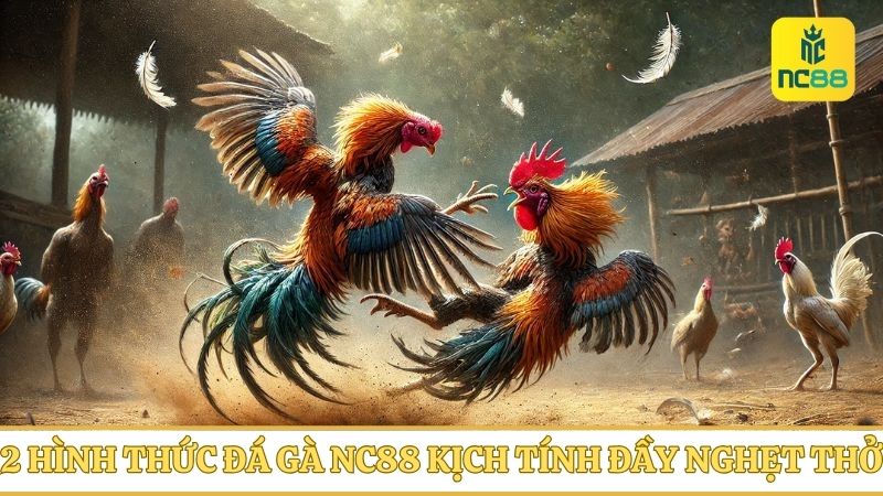 Chơi đá gà online kịch tính nghẹt thở với 2 hình thức hấp dẫn