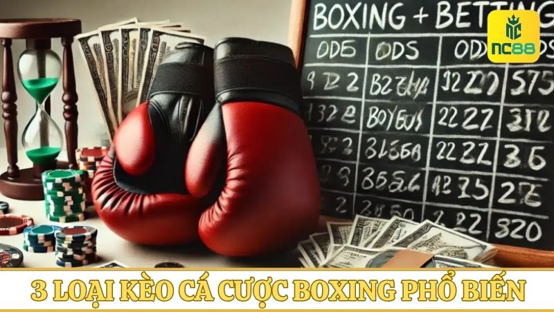 3 loại kèo cá cược Boxing