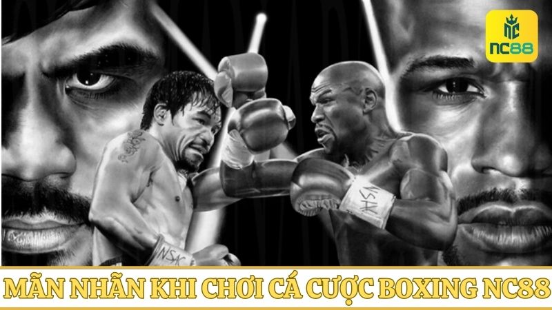 cá cược Boxing