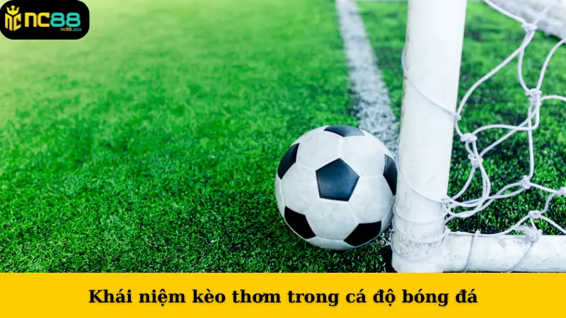 Khái niệm kèo thơm trong cá độ bóng đá