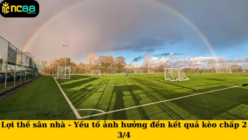 Lợi thế sân nhà - Yếu tố ảnh hưởng đến kết quả kèo chấp 2 3/4